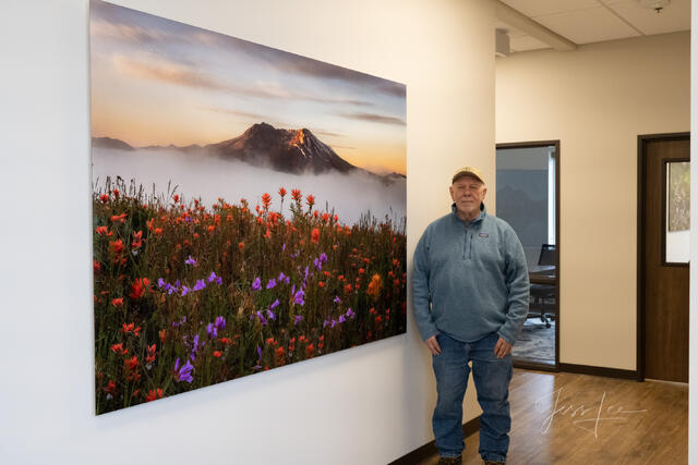 56X84" St Helens Spring