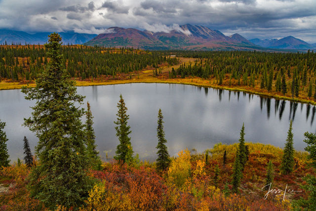 Alaskan range adjacent to Denali National Park changing colors with the onset of autumn 