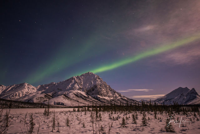 Aurora borealis streaking across the sky over the Alaskan tundra 