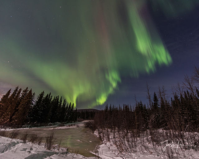 Wetland Aurora