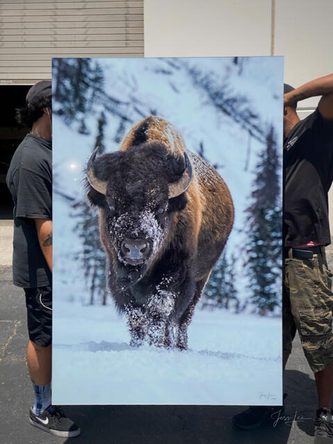 40x60 Bison