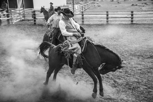 Cowboys, west, horses, open range, western, , Pictures, Photos, Photography, Pictures of, Prints, Fine art, Decor, wall art...