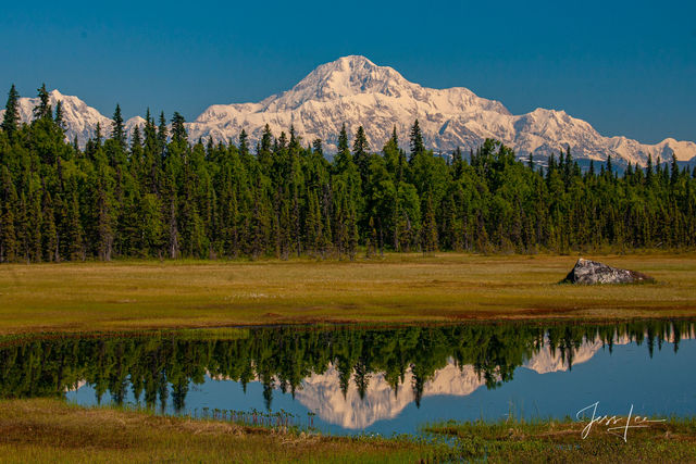 Denali reflecting on Silver Salmon Creek in Alaska 