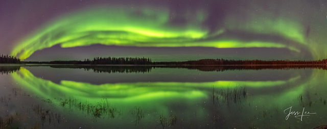 Vibrant green Aurora Borealis reflection in Alaska. 