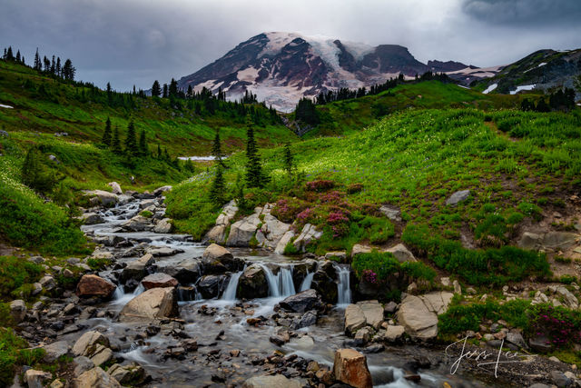 Mount Rainer Photograph Fine Art Print of summer blue color flowers and snow capped mountain photo. Edith Creek