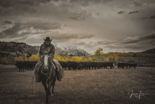 Cowboy Autumn Roundup