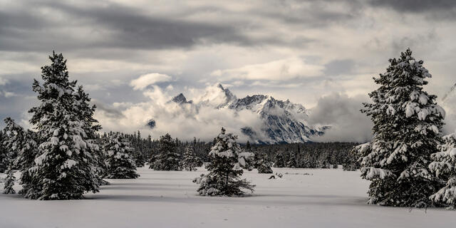 A Grand Teton photography fine art print of beautiful Photography and Pictures in large format museum-quality Acrylic or metal wall art