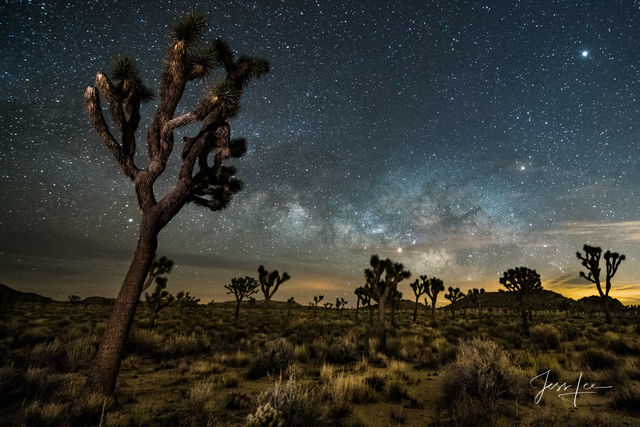 High Desert Skies