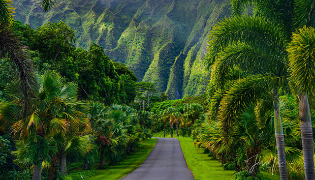 Jurassic Path
