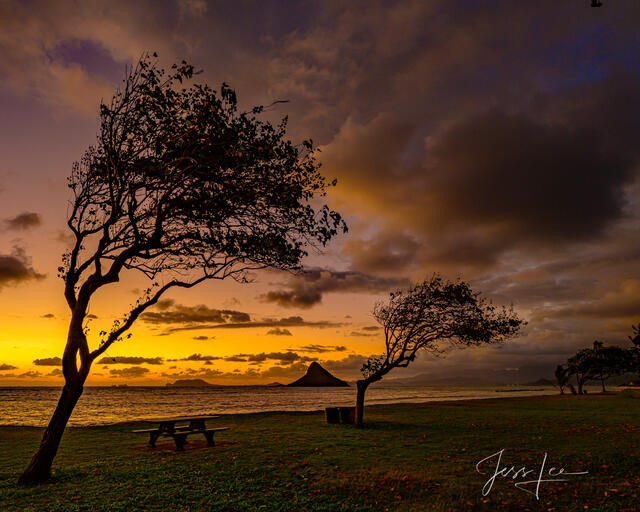 Hawaii Beach Sunset, a Fine Art Photography Print
