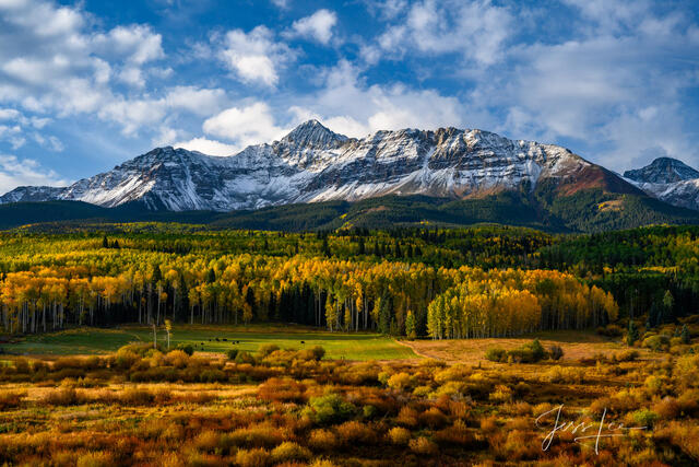 Colorado Photography Print of Mount Wilson Autumn Morning with yellow aspen trees.