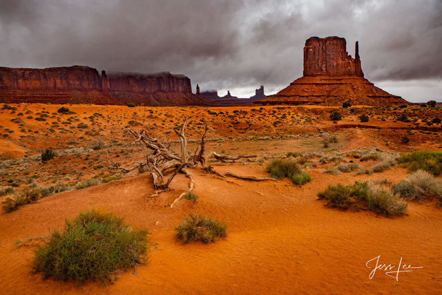 Desert Picture of red Sand Dunes