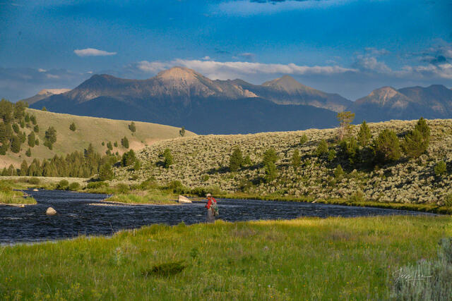Lone fly fisher in red shirt wading the Madison River, Montana, sagebrush benchlands and mountain range beyond under dramatic summer sky — print by Jess Lee