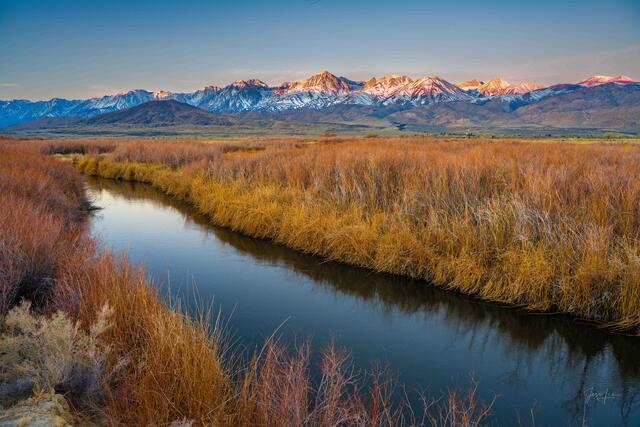 Print of the Owens River in late winter with the golden grass and snow capped Sierras