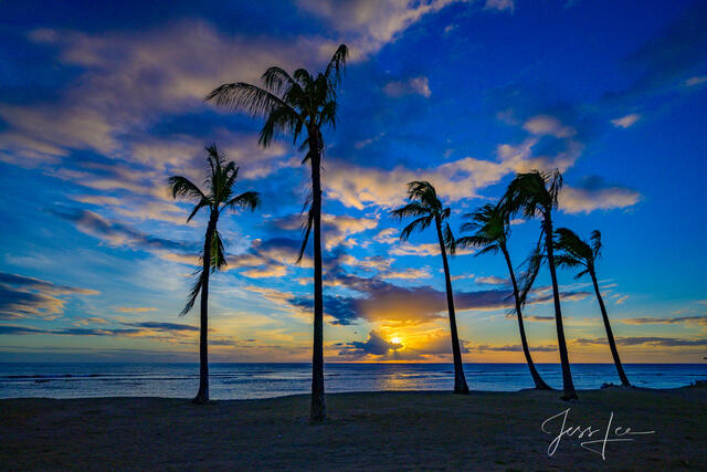 Sunset at the beach with palm trees and a Hawaiian fine art print.