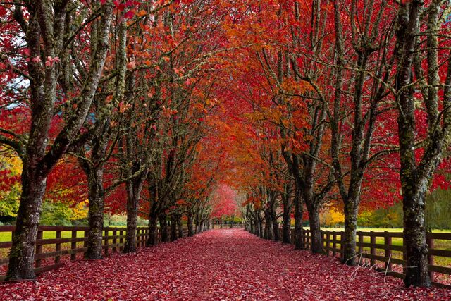 Autumn Color Pictures | Fall Landscape Prints  