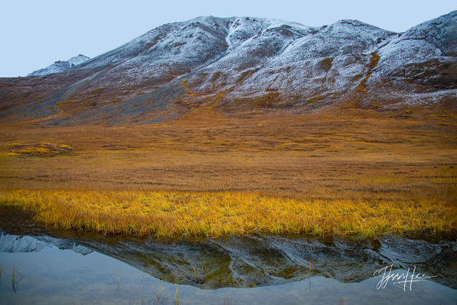 Mountain reflection in the Arctic tundra in Alaska 