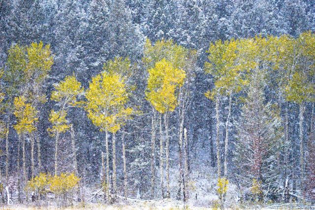 Autumn Storm