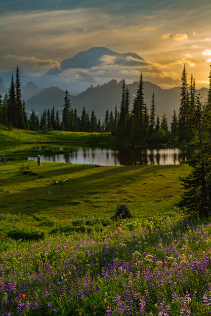 Tipso Lake Spring Sunset
