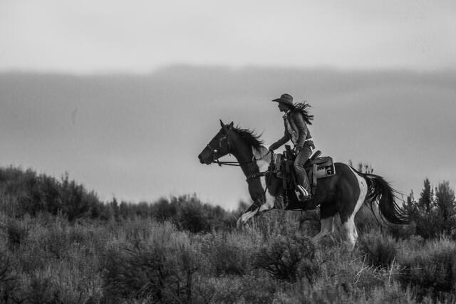 Cowboys, west, horses, open range, western, , Pictures, Photos, Photography, Pictures of, Prints, Fine art, Decor, wall art...