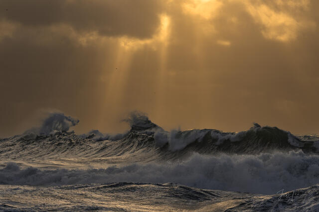 Large Format Photography print of wave coming onshore.