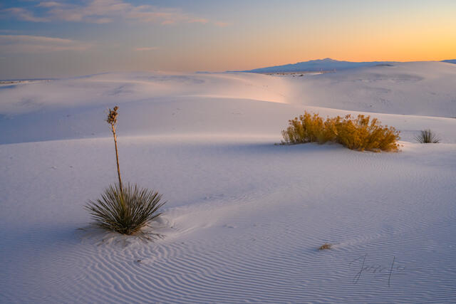 White Sands National Park Sand Dune Picture and Desert Photo Print