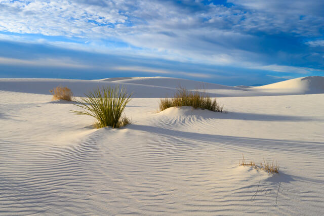 White Sands National Park Sand Dune Picture and Desert Photo Print 