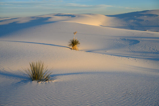White Sands National Park Sand Dune Picture desert photo print.