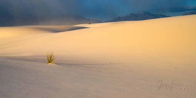 White Sands National Park Sand Dune Picture