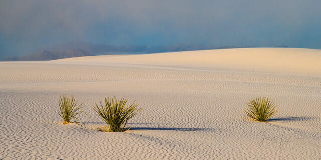 White Sands National Park Sand Dune Picture  Desert Photo  Print