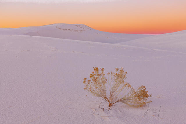 White Sands National Park Sand Dune