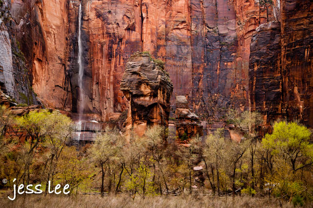 zion rain