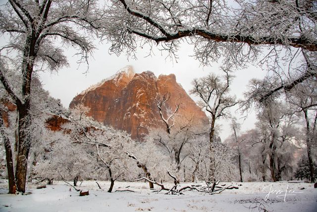 Zion National Park winter snow photo print