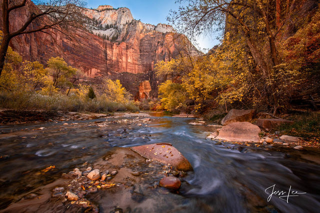 Heart of the Virgin River in Zion National Park