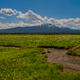 Salmon River Headwaters