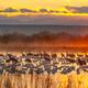 Atmospheric Awaking