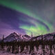Aurora Wave