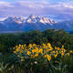 Purple Mountains Magistracy