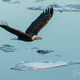 Over the Ice
