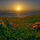 California Coast Beach Sunset Photo #11