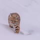 Bobcat Approaching — Yellowstone Winter Photography Print