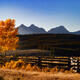Sawtooth Range Autumn Shadow
