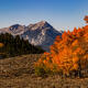Showing off Fall