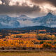 Fenceline Road