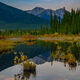 Beaver Pond Fall
