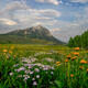 Morning-Mountain-Magic