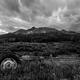 Mt Wilson Ranch - Black and White