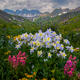 Colorado Alpine Boutique