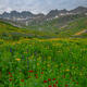 Crimson-Basin