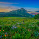 Meadow Morning, Crested Butte